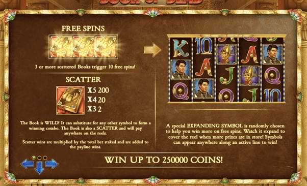 Book of dead showing Free Spins
