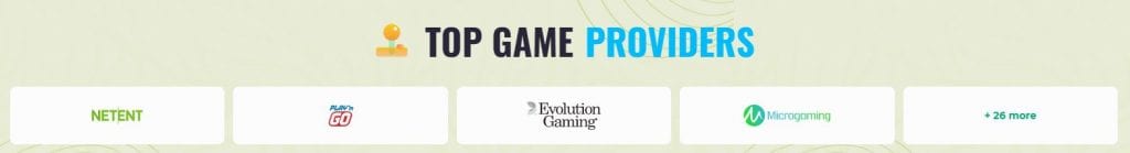 roku casino's top game providers